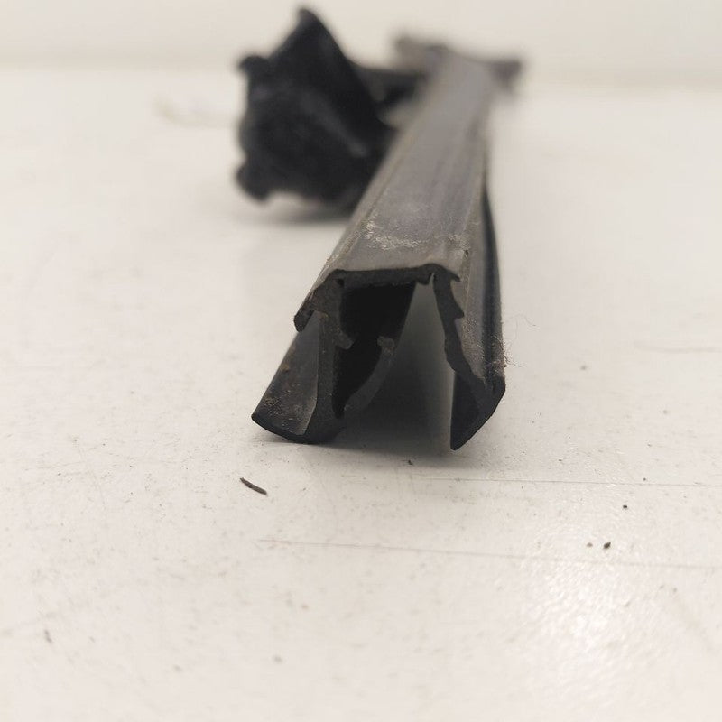 Honda Clarity Door Glass Window Seal Rubber Right Passenger Front 2018