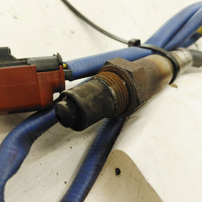 Ford Escape Oxygen O2 Sensor Upstream  2022 2023 2024