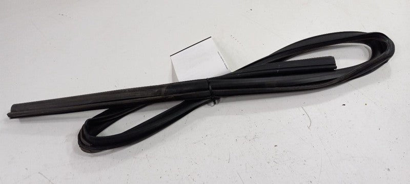 Dodge Journey Door Glass Window Seal Rubber Right Passenger Rear Back 
