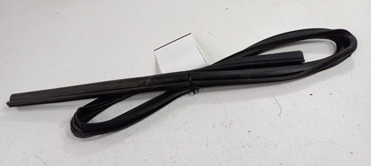 Dodge Journey Door Glass Window Seal Rubber Right Passenger Rear Back 
