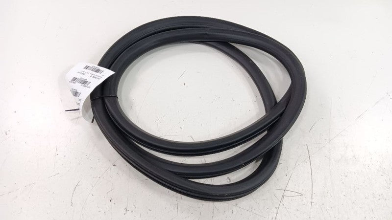 Chevrolet Equinox On Body Door Jamb Seal Rear Right Passenger Back 2018 2019