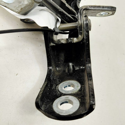 Nissan Maxima Door Hinge Set Left Driver Rear  2018 2017 2016 OEM
