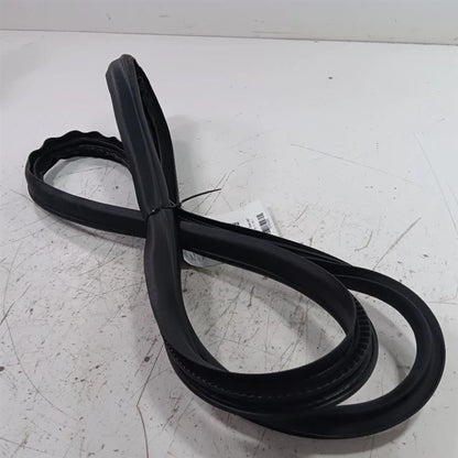 Ford Ecosport On Body Door Jamb Seal Rear Left Back  2018 2019 2020 20