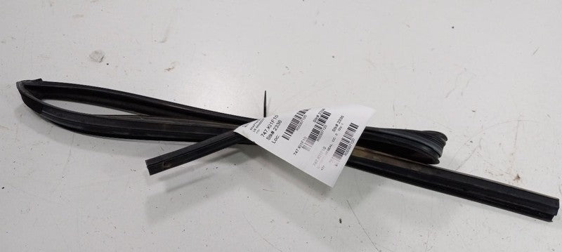 Kia Forte Door Glass Window Seal Rubber Left Rear Back 2010 2011 2012 13