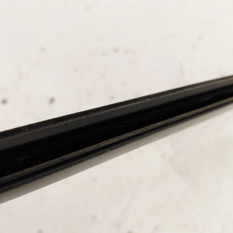 Buick Encore GX Door Glass Window Weather Strip Trim Rear Left Driver 