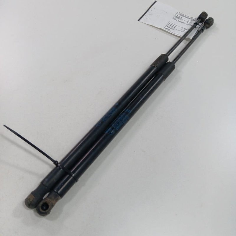 Fiat 500 Hatchback Hatch Back Trunk Lid Shock Strut Support  2014 2015
