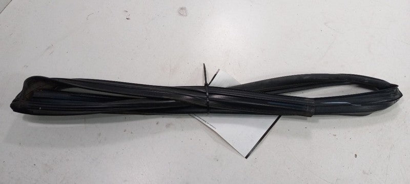Nissan Sentra Door Glass Window Seal Rubber Left Rear Back 2012 2011 2