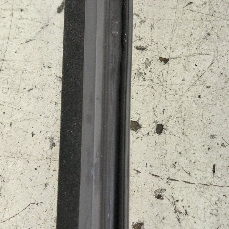 Cadillac CT6 Right Rear Weather Strip Interior  2018 2017 2016