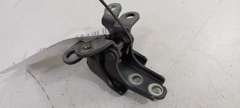 Acura TSX Door Hinge Set Left Front Driver 2014 2013 2012 2011 OEM