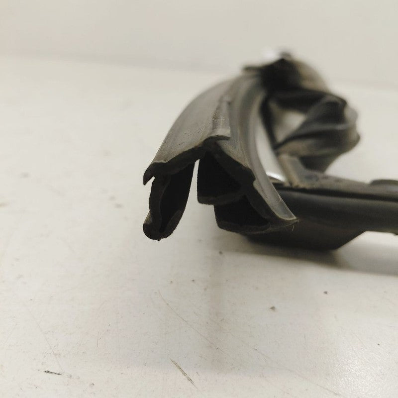 Cadillac XTS Door Glass Window Seal Rubber Left Driver Rear Back      