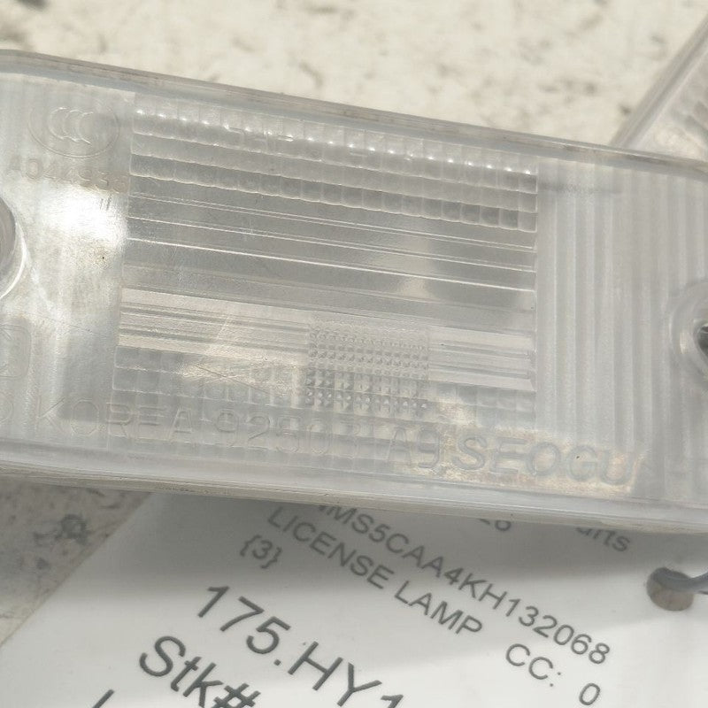 Hyundai Santa Fe License Plate Light Lamp  2019 2020