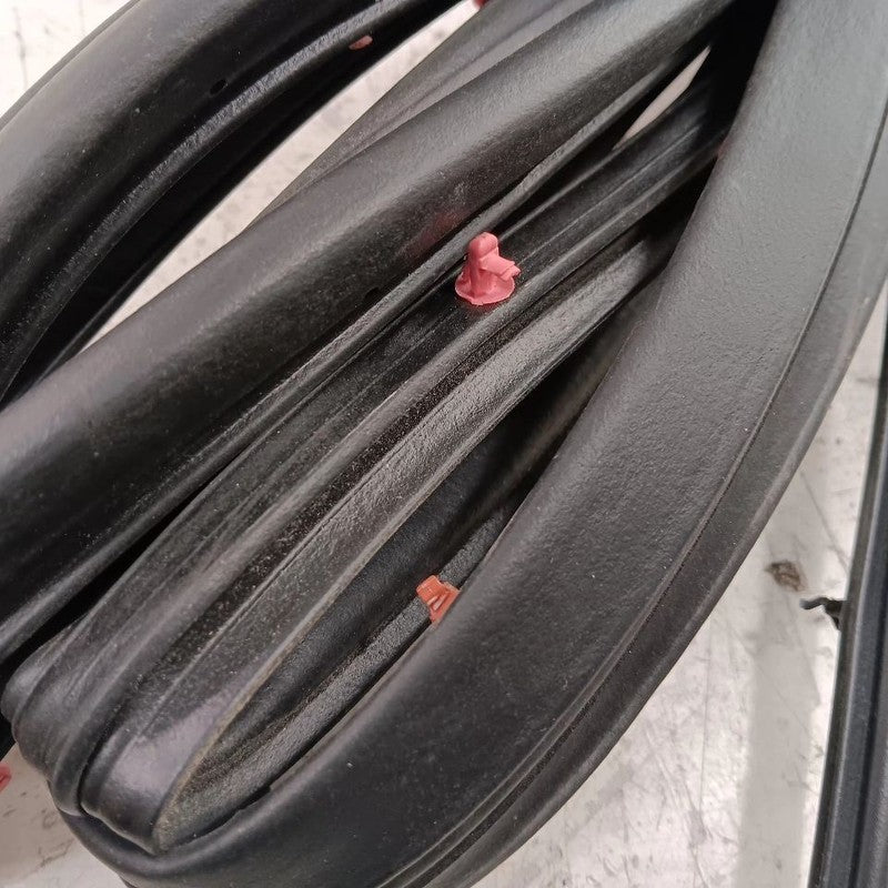 Nissan Kicks On Door Seal Rubber Left Rear Back  2021 2022 2023 2024 O