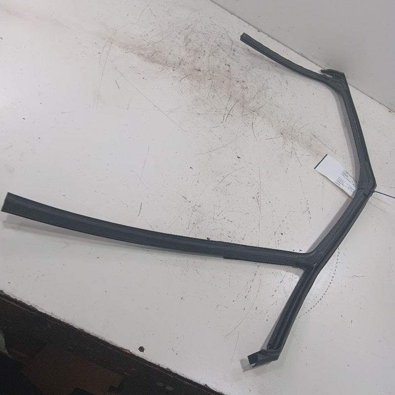 Chevy Trailblazer Door Glass Window Seal Rubber Left Driver Front 2021 2022 2023