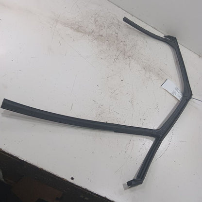 Chevy Trailblazer Door Glass Window Seal Rubber Left Driver Front 2021 2022 2023