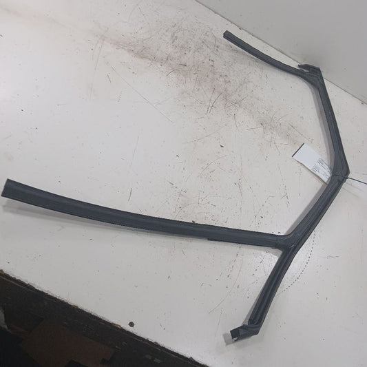 Chevy Trailblazer Door Glass Window Seal Rubber Left Driver Front 2021 2022 2023