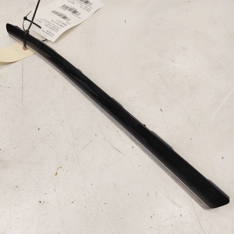 Chrysler 300 Driver Left Front Door Trim Garnish {AI59309XST003} 2017 