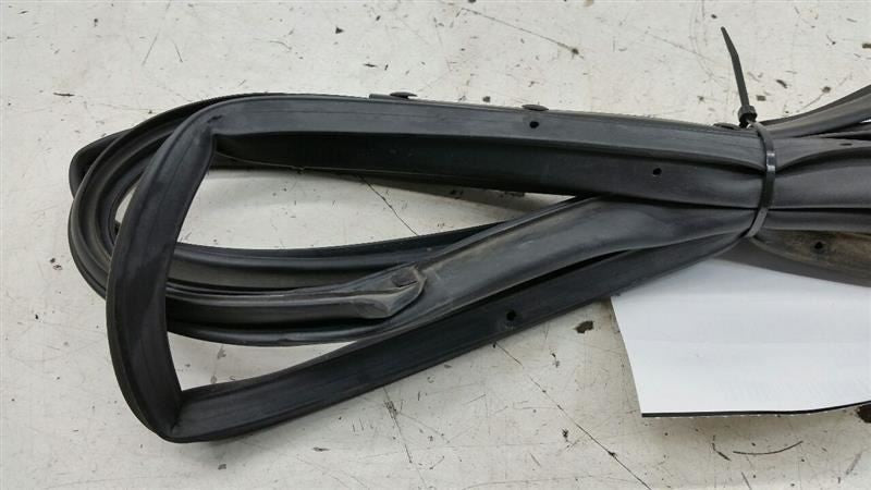 Hyundai Sonata On Door Seal Rubber Gasket Right Passenger Rear Back 2012 2013