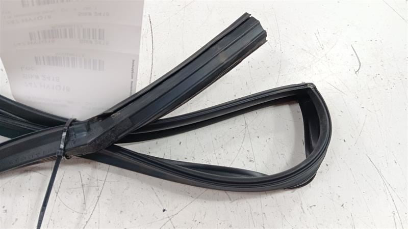 Hyundai Sonata Door Glass Window Seal Rubber Left Rear Back 2018 2019 