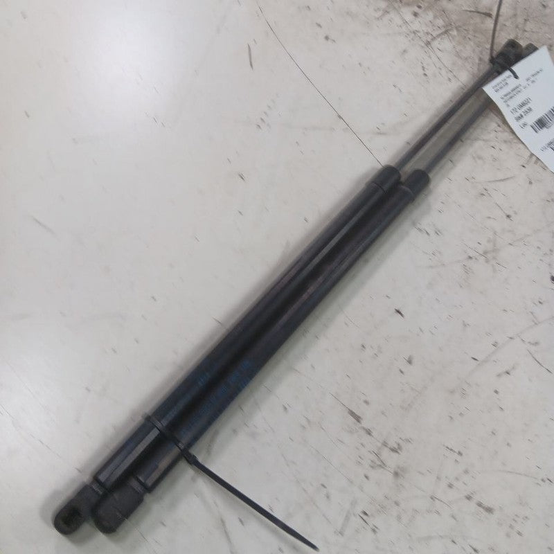 Chevy Trailblazer Hatchback Hatch Back Trunk Lid Shock Strut Support  