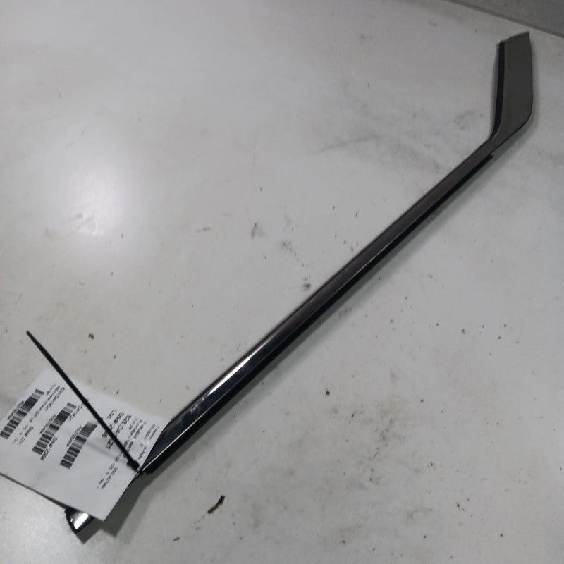 Nissan Altima Door Glass Window Weather Strip Trim Rear Left Driver Back 2023 20