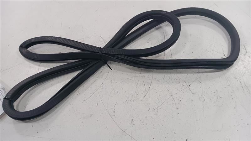 Chrysler 200 On Body Door Jamb Seal Rear Left Back  2015 2016 2017