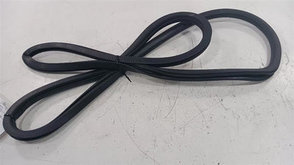 Chrysler 200 On Body Door Jamb Seal Rear Left Back  2015 2016 2017