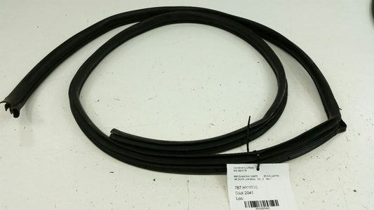 2010 Hyundai Elantra On Body Door Jamb Seal Gasket Rear Back Right Passenger