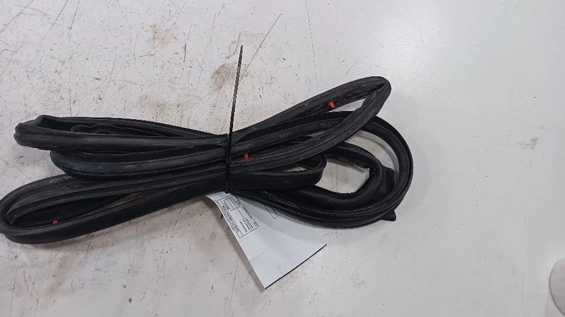 Buick Encore On Door Seal Rubber Left Driver Front  2013 2014 2015 201