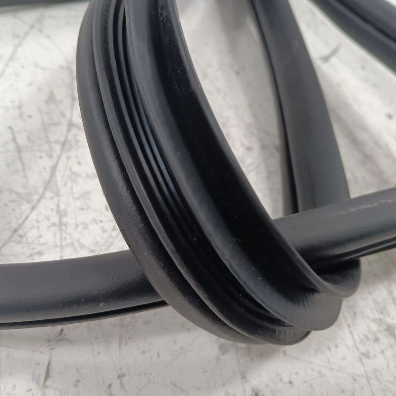 Kia Forte On Body Door Jamb Seal Rear Left Back  2015 2016 2017 2018