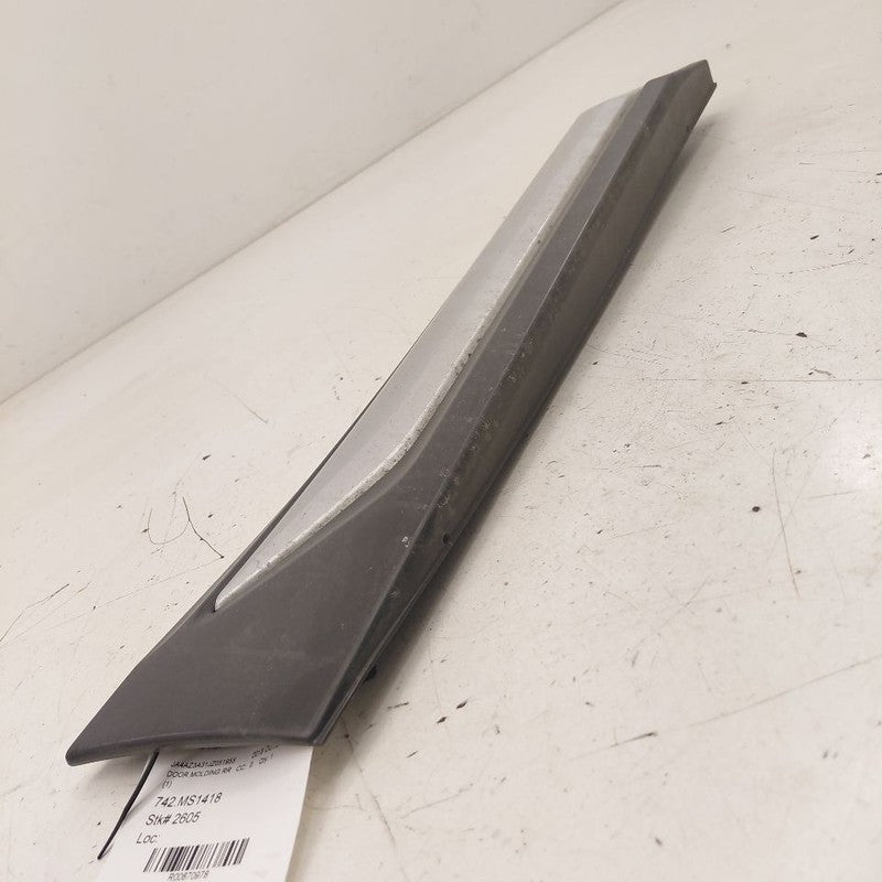 Mitsubishi Outlander   Door Molding Trim Strip Right Passenger Side Re