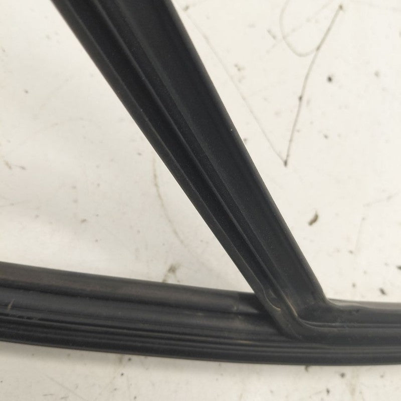 Chevy Volt Door Glass Window Seal Rubber Left Driver Front  2016 2017 