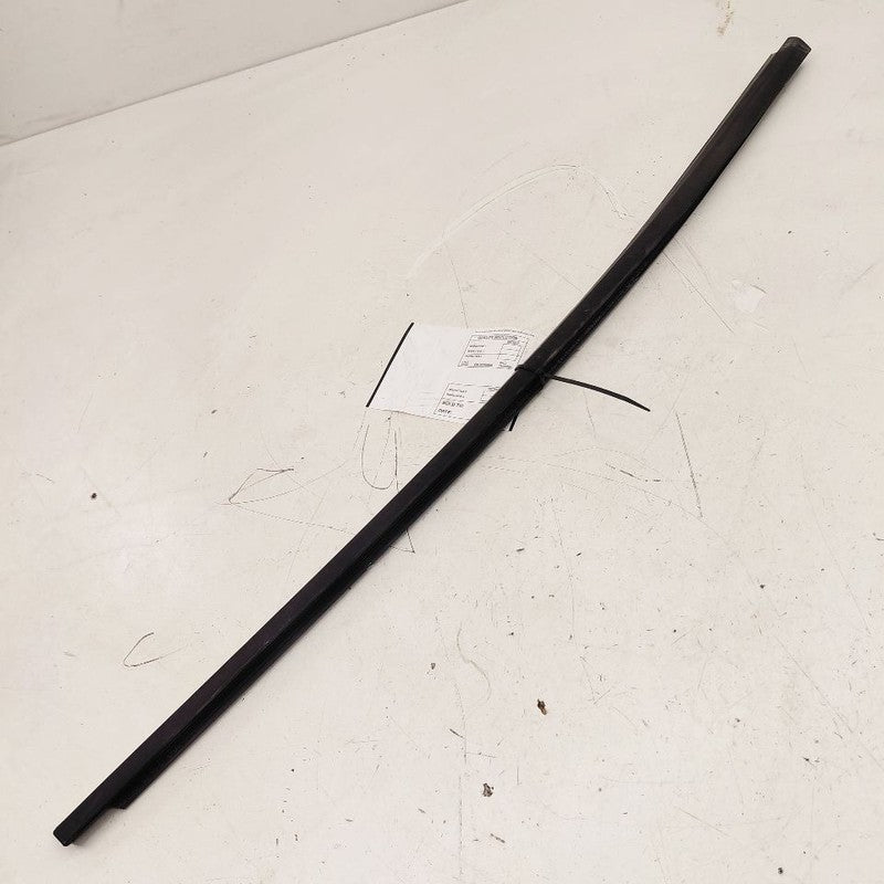 Chevy Volt Door Glass Window Weather Strip Trim Front Right Passenger 