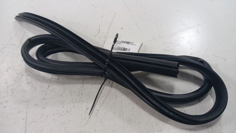2024 2025 2026 Subaru Impreza On Body Door Jamb Seal Rear Left Driver 