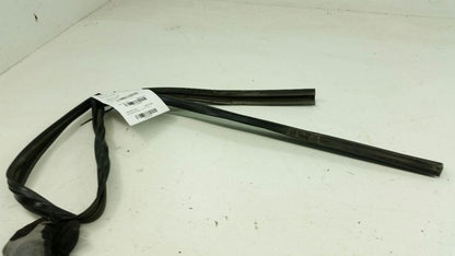 Nissan Altima Door Glass Window Seal Rubber Gasket Right Passenger Rear 2005 OEM