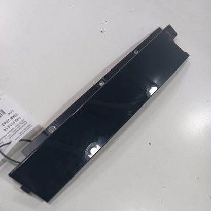 Fiat 500 Left Rear Door Applique {735522838} 2014 2015 2016 OEM