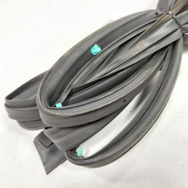Buick Encore On Door Seal Rubber Left Driver Rear Back  2020 2019 2018