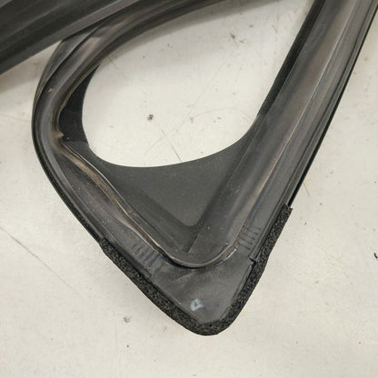 Ford Ecosport Door Glass Window Seal Rubber Right Passenger Front 2020