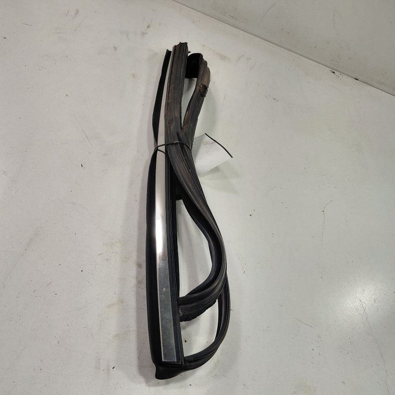 Ford Fusion Door Glass Window Seal Rubber Left Driver Rear Back  2016 