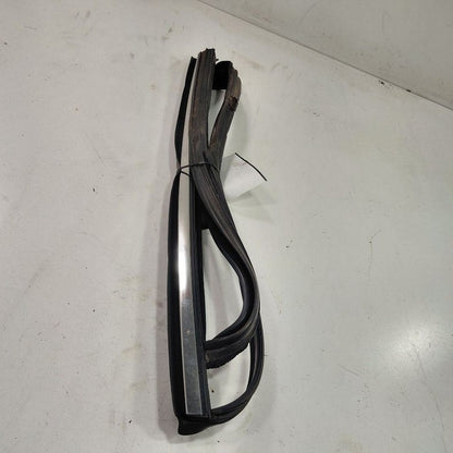 Ford Fusion Door Glass Window Seal Rubber Left Driver Rear Back  2016 