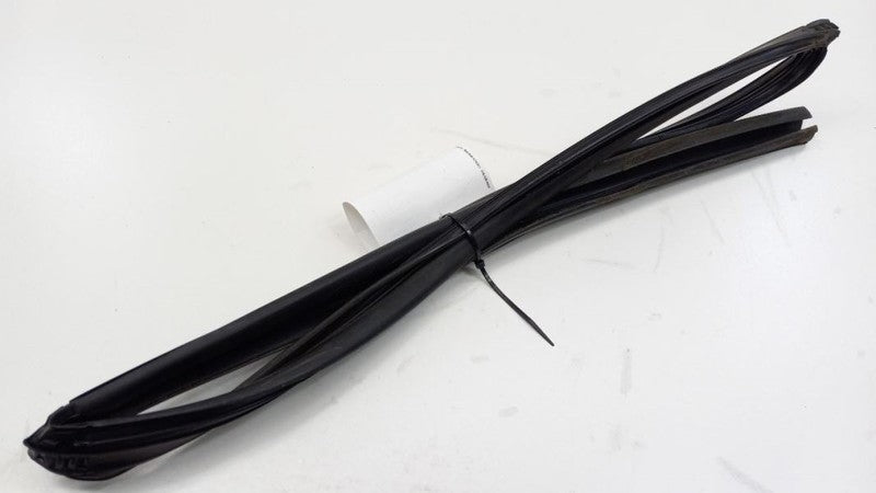 Sentra Door Glass Window Seal Rubber Gasket Left Rear Back 2007 2008 2009