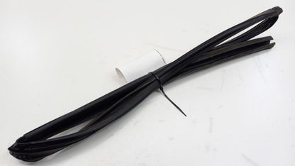 Sentra Door Glass Window Seal Rubber Gasket Left Rear Back 2007 2008 2009