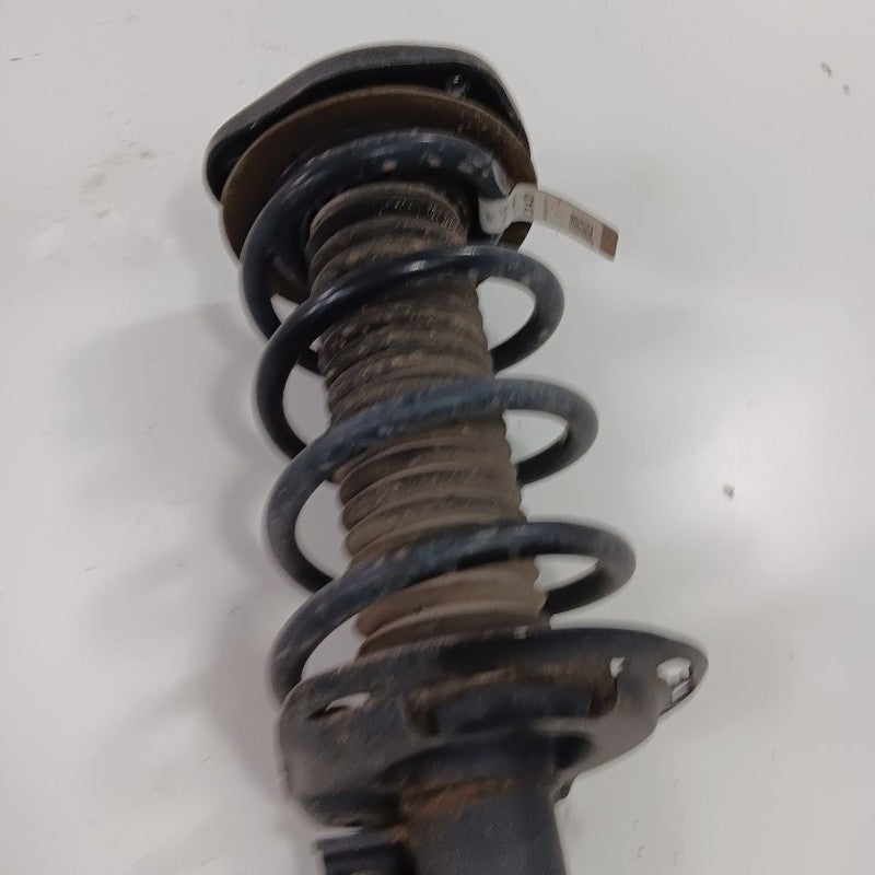 Passenger Right Front Strut Fits 23-24 Ford Bronco Sport OEM
