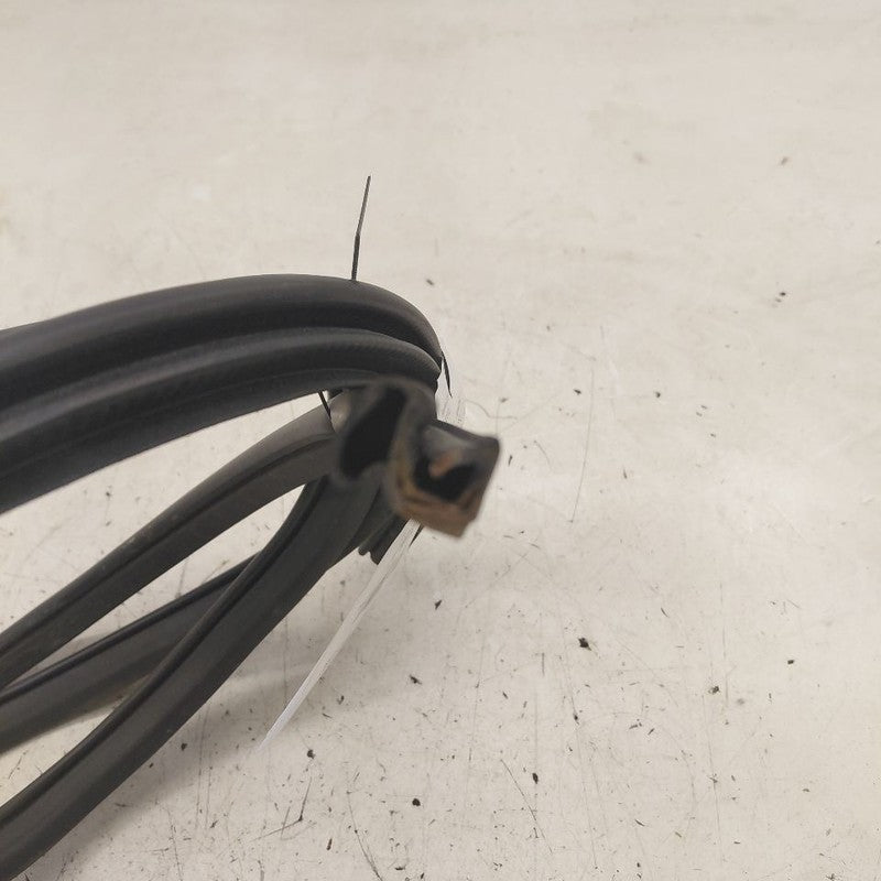 Nissan Murano On Body Door Jamb Seal Gasket Front Left Driver  2020 20