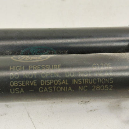 Ford Escape Hatchback Hatch Back Trunk Lid Shock Strut Support  2022 2