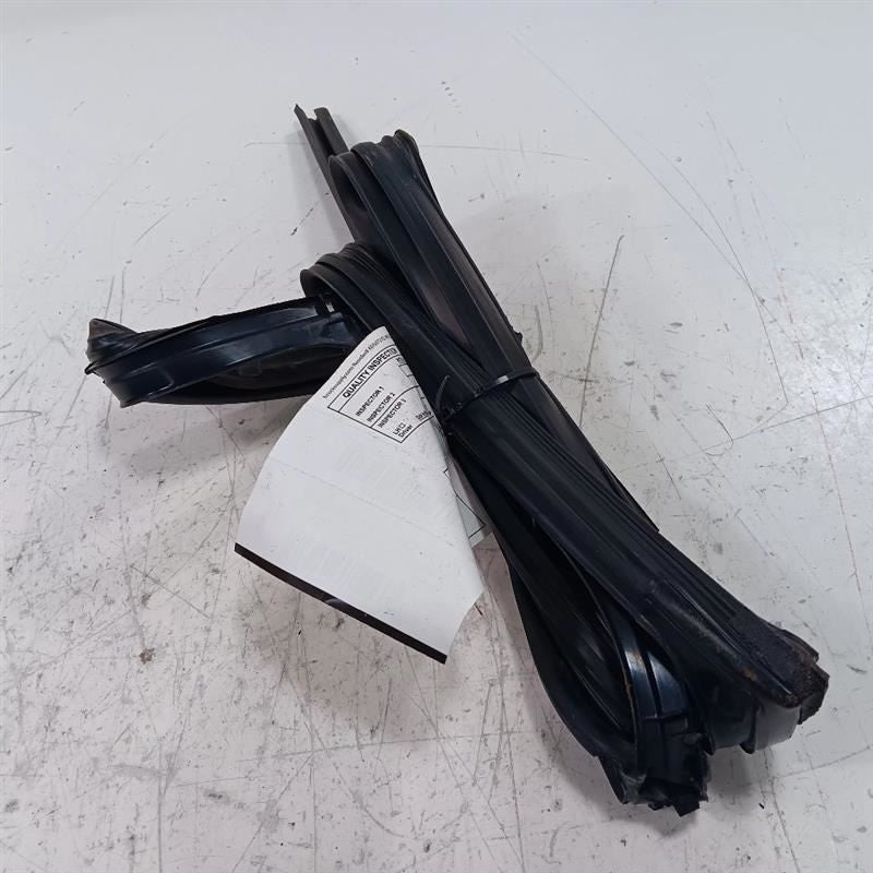 Kia Forte Door Glass Window Seal Rubber Left Rear Back  2014 2015 2016