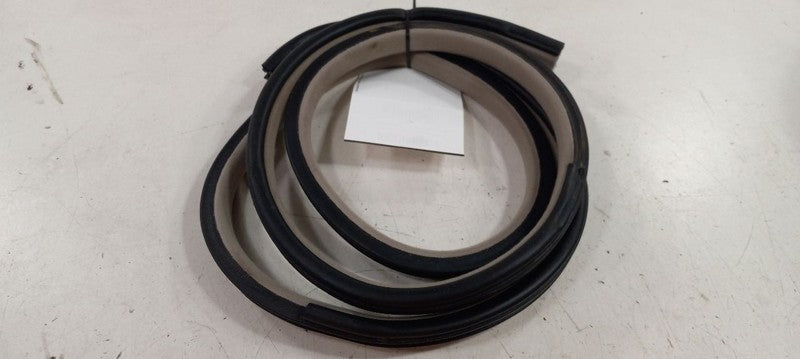 Hyundai XG350 On Body Door Jamb Seal Rear Left Back 2003 2004 2005