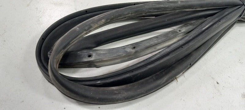 Hyundai Accent On Door Seal Rubber Right Passenger Front 2006 2007 2008 2009 201