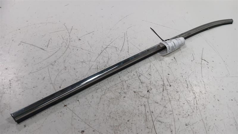 Nissan Rogue Door Glass Window Weather Strip Trim Rear Right Passenger Side Back