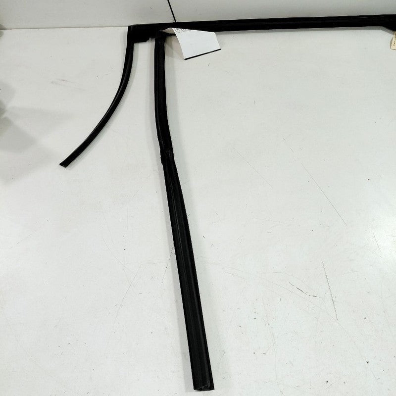 Ford Edge Door Glass Window Seal Rubber Right Passenger Rear Back 2019