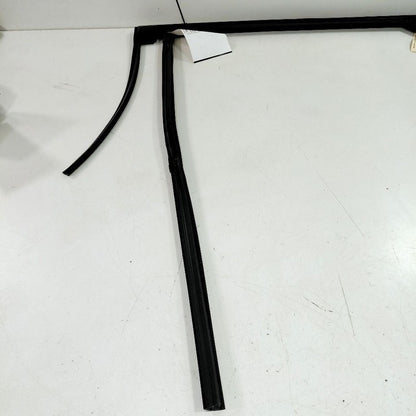 Ford Edge Door Glass Window Seal Rubber Right Passenger Rear Back 2019